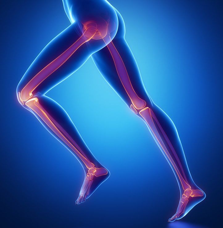 Home [www.icecubesservice.com]